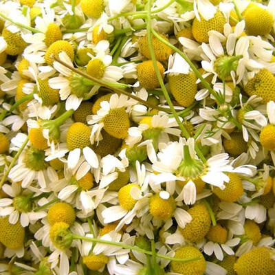 Fragancia Manzanilla