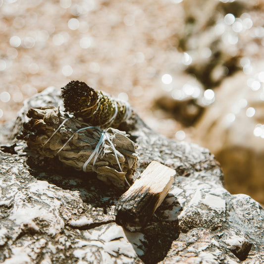 Fragancia Palo Santo